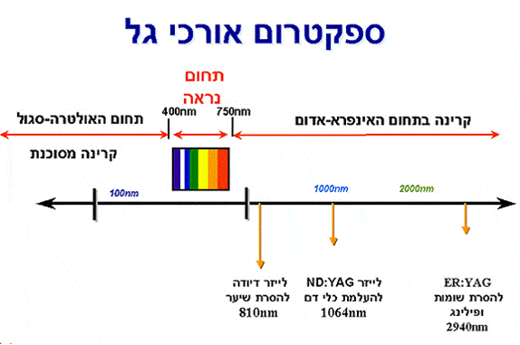 ההבדל בין לייזר ל IPL לאינפרא אדום ואפילציה.